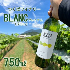 yӂ邳Ɣ[Łz΃Ci[ TSUKUBA BLANC v~A |   Ԃǂ uhE 錧 Ύs Ci[ C C