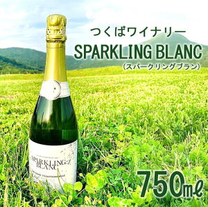 yӂ邳Ɣ[Łz΃Ci[ SPARKLING BLANC (Xp[NOu) |   Ԃǂ uhE 錧 Ύs Ci[ C Xp[NOC