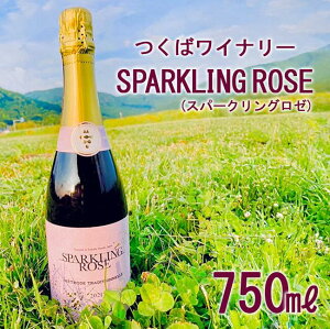 yӂ邳Ɣ[Łz΃Ci[ SPARKLING ROSE(Xp[NO[) |   Ԃǂ uhE 錧 Ύs Ci[ C Xp[NOC [C