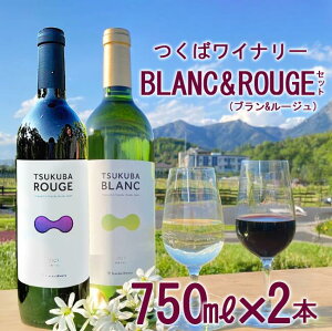 yӂ邳Ɣ[Łz΃Ci[ TSUKUBA BLANC & ROUGE Zbg |   Ԃǂ uhE 錧 Ύs Ci[ C ԃC C