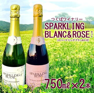 yӂ邳Ɣ[Łz΃Ci[ SPARKLING BLANC & ROSE Zbg |   Ԃǂ uhE 錧 Ύs Ci[ C [C Xp[NOC