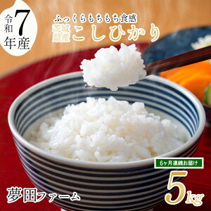 yӂ邳Ɣ[Łzyւz_ߘa7NYRVqJ5kg^ ct@[̃RVqJ |   CX   Ђ RVqJ V 5kg 5L 錧 Ύs