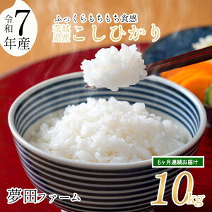 yӂ邳Ɣ[Łzyւz_ߘa7NYRVqJ10kg^ ct@[̃RVqJ |   CX   Ђ RVqJ V 10kg 10L 錧 Ύs