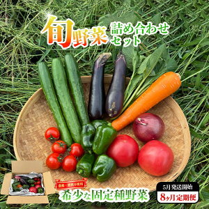 【ふるさと納税】☆先行予約 5月発送開始☆【8回定期便】固定種野菜の自然栽培 旬のお野菜セットを毎月お届け | 野菜 定期便 やさい 旬 夏野菜 春野菜 季節 詰め合わせ 農薬不使用 肥料不使