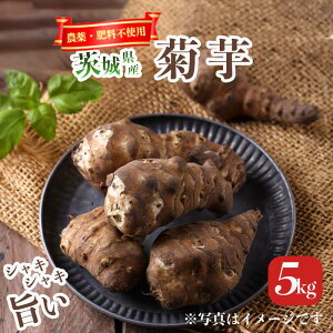 【ふるさと納税】☆先行予約 2026年1月発送開始☆農薬・肥料不使用!自然栽培の菊芋 5kg | 菊芋 ブタイモ カライモ 芋 農薬不使用 肥料不使用 健康 自然栽培 数量 限定 9000 茨城県 つくば市