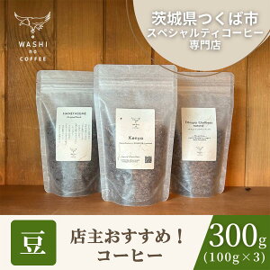 yӂ邳Ɣ[ŁzIXyVeBR[q[@R[q[300gi100g×3j| R[q[  R[q[ XyVeBR[q[ VN  {i  錧 Ύs