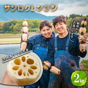 �ԗ�i�摜