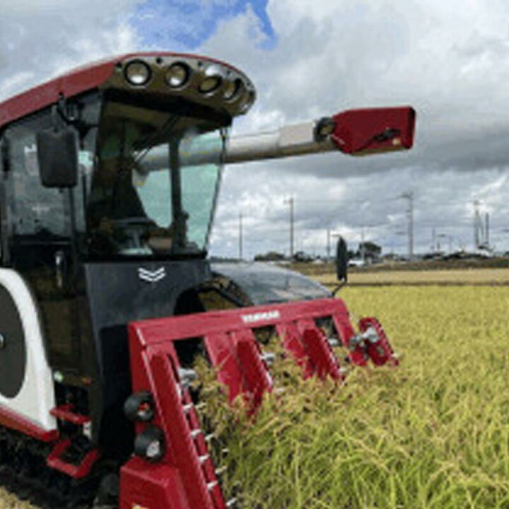 楽天市場】【ふるさと納税】米 5kg~10kg こしひかり 令和7年産 特別 