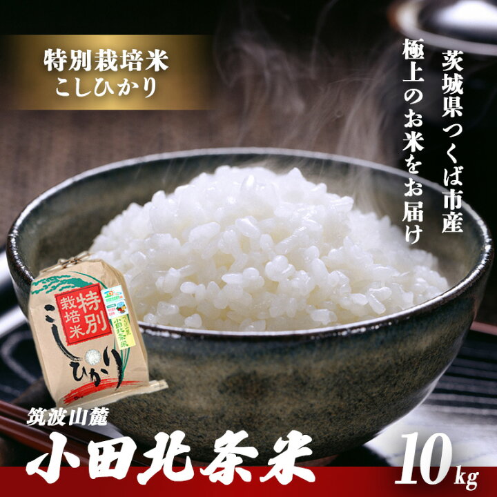 楽天市場】【ふるさと納税】米 5kg~10kg こしひかり 令和7年産 特別 