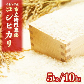 【ふるさと納税】令和7年産 市左衛門農場コシヒカリ | 米 こめ こしひかり コシヒカリ ご飯 白米 精米 令和7年産 茨城県 つくば市