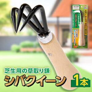 yӂ邳Ɣ[ŁzVoNC[(Őp̑芙)y1207770z