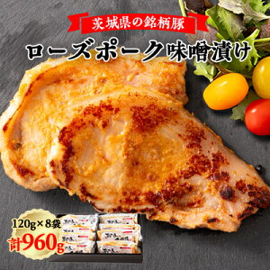 yӂ邳Ɣ[Łz錧؃[Y|[NXЂ8yzsnFzy1354505z