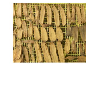 �y�ӂ邳�Ɣ[�Łz���Ђ����Ȃ��s�Y���܂���(�g�͂邩)�g�p�@�V��������������1kg�y�z���s�n��F�����z�y1378448�z