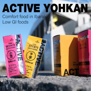 yӂ邳Ɣ[ŁzACTIVE YOHKAN(/)y1403779z