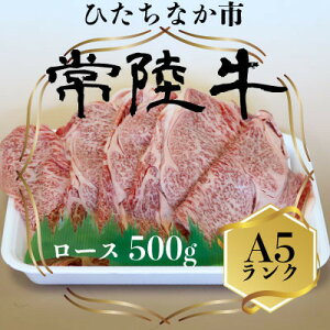 yӂ邳Ɣ[Łz헤(Ђイ)[XA5N500gyzsnFzy1413422z