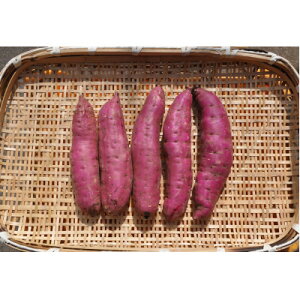 yӂ邳Ɣ[Łzn1ȏł͂!@g͂邩@Tc}C@4.75kg@MTCY`2LTCY@(yt)y1421158z