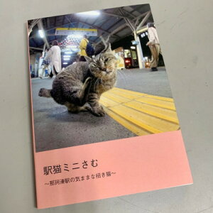 yӂ邳Ɣ[ŁzЂȂClSuwL~jގʐ^Wvy1457714z
