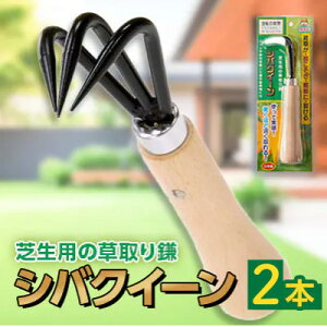 yӂ邳Ɣ[ŁzVoNC[(Őp̑芙) 2{Zbgy1578894z