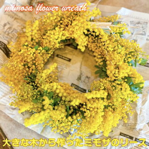 yӂ邳Ɣ[Łz(3)傫Ȗ؂~Ũ[XyizȂԂCeAǏv[g!yzsnFzy1582063z