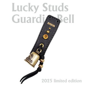 yӂ邳Ɣ[Łzte[y2025X^bYK[fBAxzCG[×uX@AC-GB-25-BRYLy1612619z