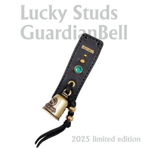 yӂ邳Ɣ[Łzte[y2025X^bYK[fBAxzO[×uX@AC-GB-25-BRGRy1612620z