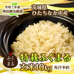 yӂ邳Ɣ[Łzys\E9ȍ~zߘa7NY@͂ӂ܂()10kg×1܁@ЂȂsYy1654182z
