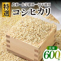 楽天市場】茨城県産コシヒカリ玄米30kgの通販