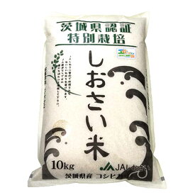 【ふるさと納税】【令和5年産】鹿嶋市産　しおさい米 10kg （KA-3）