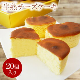 【ふるさと納税】洋菓子店 モンブラン 半熟チーズケーキ（20個）（KD-13）