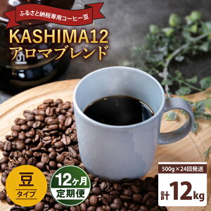 yӂ邳Ɣ[ŁzyeE񐔂Iׂz2025Nx@ӂ邳Ɣ[ŐpR[q[@KASHIMA 12 A}uhiKV-139j