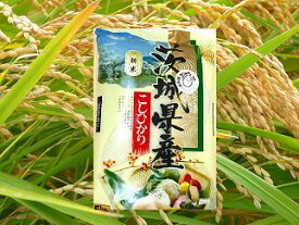 【ふるさと納税】【12ヶ月定期便】茨城県産コシヒカリ（ 5kg × 2袋 ）× 12ヶ月 定期便 お米 米 精米 こしひかり コシヒカリ 産地直送 送料無料（KY-5）