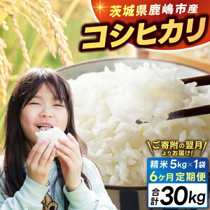 yӂ邳Ɣ[ŁzV ߘa7N    Ђ Iׂ s\ 5kg / 10kg / 30kg /  3/6 sYyߘa7NY RVqJ  R ͂ CX uh 錧 