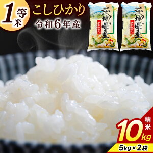 yӂ邳Ɣ[Łz_r[Ly[Ώ ݌ɂ킸^1ā RVqJ  5kg 10kg Iׂ eʁyߘa6NYz   Ђ 5L 10L 錧 s  ͂