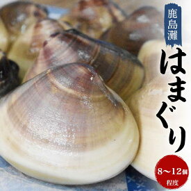 【ふるさと納税】 はまぐり 鹿島灘産 8～12個程度 日本一の生産地 茨城県鹿島灘産 ハマグリ 蛤 海鮮 水産加工品 水産品 海産物 魚 貝 だし 出汁 味噌汁 酒蒸し お吸い物 網焼き バーベキュー BBQ 貝 kai hamaguri 魚貝 冷蔵 縁起物 酒蒸し お吸い物 鹿島灘 茨城県 鹿嶋市