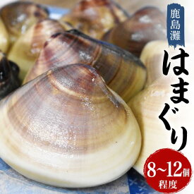 【ふるさと納税】 はまぐり 砂抜き 鹿島灘産 約8～12個 ハマグリ 蛤 海鮮 水産加工品 水産品 海産物 魚 貝 だし 出汁 味噌汁 酒蒸し お吸い物 網焼き バーベキュー BBQ 貝 kai hamaguri 魚貝 冷蔵 縁起物 酒蒸し お吸い物 鹿島灘 お祝い 送料無料 茨城県 鹿嶋市