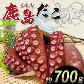 【ふるさと納税】鹿島だこ【たこ タコ 蛸 海鮮 新鮮 魚貝 地たこ 刺身 鹿島灘 鹿嶋市 茨城県 20000円以内 2万円以内】（KM-9）