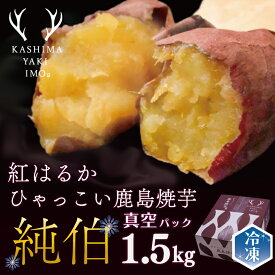 【ふるさと納税】ひゃっこい鹿島焼芋 純伯 1.5kg | 送料無料 冷凍やきいも 冷凍焼き芋 冷やし焼き芋 冷やし焼きいも 焼芋 焼き芋 焼きいも やきいも さつまいも 紅はるか 冷凍 冷凍便 スイーツ 期間限定 鹿島焼芋 ご家庭用 人気 ランキング グルメ お取り寄せ （KBK-23）