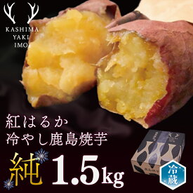 【ふるさと納税】鹿島焼芋　純　1.5kg（KBK-8）