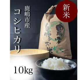 【ふるさと納税】【令和5年産】　安心安全のお米！特別栽培米コシヒカリ（10kg）KAV-3）