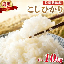 楽天市場】お米 コシヒカリ10キロ 農家の通販