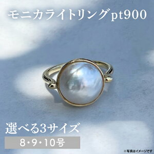 yӂ邳Ɣ[ŁzjJCgO w ANZT[yIׂ  TCYzCG[S[h/v`i 8/9/10yw  VR }xp[ ^ w 蕨 v[g Mtg V