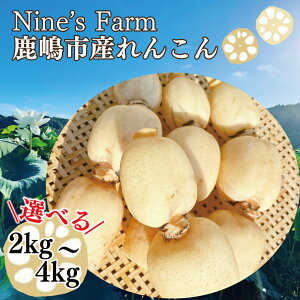 yӂ邳Ɣ[Łzys\zyʌz_Iׂeʁ^ I[KjbN엿ňĂ񂱂 2kg 4kg (8{菇\)y錧 s L@͔| I[KjbN R @ 