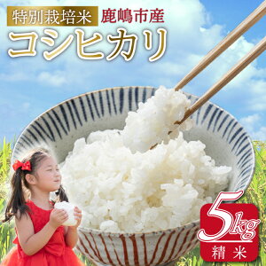 yӂ邳Ɣ[Łzߘa7NY sY ʍ͔|ăRVqJ () 5kg yЂ  ʍ͔|   錧 s 15000~ȓ ziKAK-5j