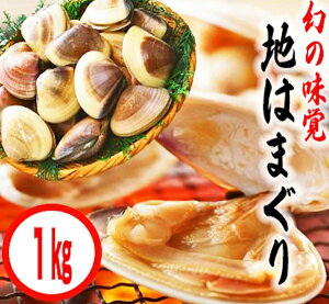 yӂ邳Ɣ[ŁzYuhn͂܂iy 1kg j BBQ L CN CY ͂܂  n}O lC uh Y  s 錧  Yn 10000 ꖜ~iKBL-3