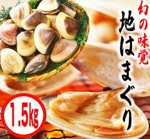 yӂ邳Ɣ[ŁzYuhn͂܂i 1.5kg j BBQ L CN CY ͂܂  n}O  lC uh Y  s 錧  Yn iKBL-4j