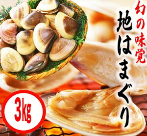 yӂ邳Ɣ[ŁzYuhn͂܂i 3kg j BBQ L CN CY ͂܂  n}O  lC uh Y  s 錧  Yn 30000 O~ 