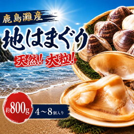 【ふるさと納税】 はまぐり 選べる 800g 1.6kg 2.4kg 3.2kg 地はまぐり 鹿島灘産 大粒 天然 ブランド 肉厚 BBQ 貝 貝類 かい 魚介類 ハマグリ 水産品 海産物 出汁 二枚貝 味噌汁 酒蒸し お吸い物 網焼き バーベキュー 冷蔵 雑煮 炊き込みご飯 鹿島灘 茨城県 鹿嶋市
