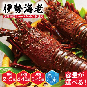 yӂ邳Ɣ[Łzyt^YⓀzɐCV yIׂeʁz| 1kg/2~5 | 2kg/4~10 | 3kg/6~15 | ɐGr 錧 s iKBL-18-20j