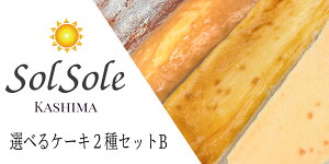 【ふるさと納税】KBM-6　Sol soleの選べるケーキ2種セットB　無添加　 スイーツ デザート 鹿嶋市　ケーキ 送料無料