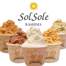 【ふるさと納税】Sol soleのジェラート6種 6個入り 無添加　ジェラート スイーツ デザート 鹿嶋市　アイス 送料無料（KBM-1）